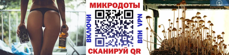 наркошоп  MEGA сайт  Псилоцибиновые грибы ЛСД  Вилючинск 